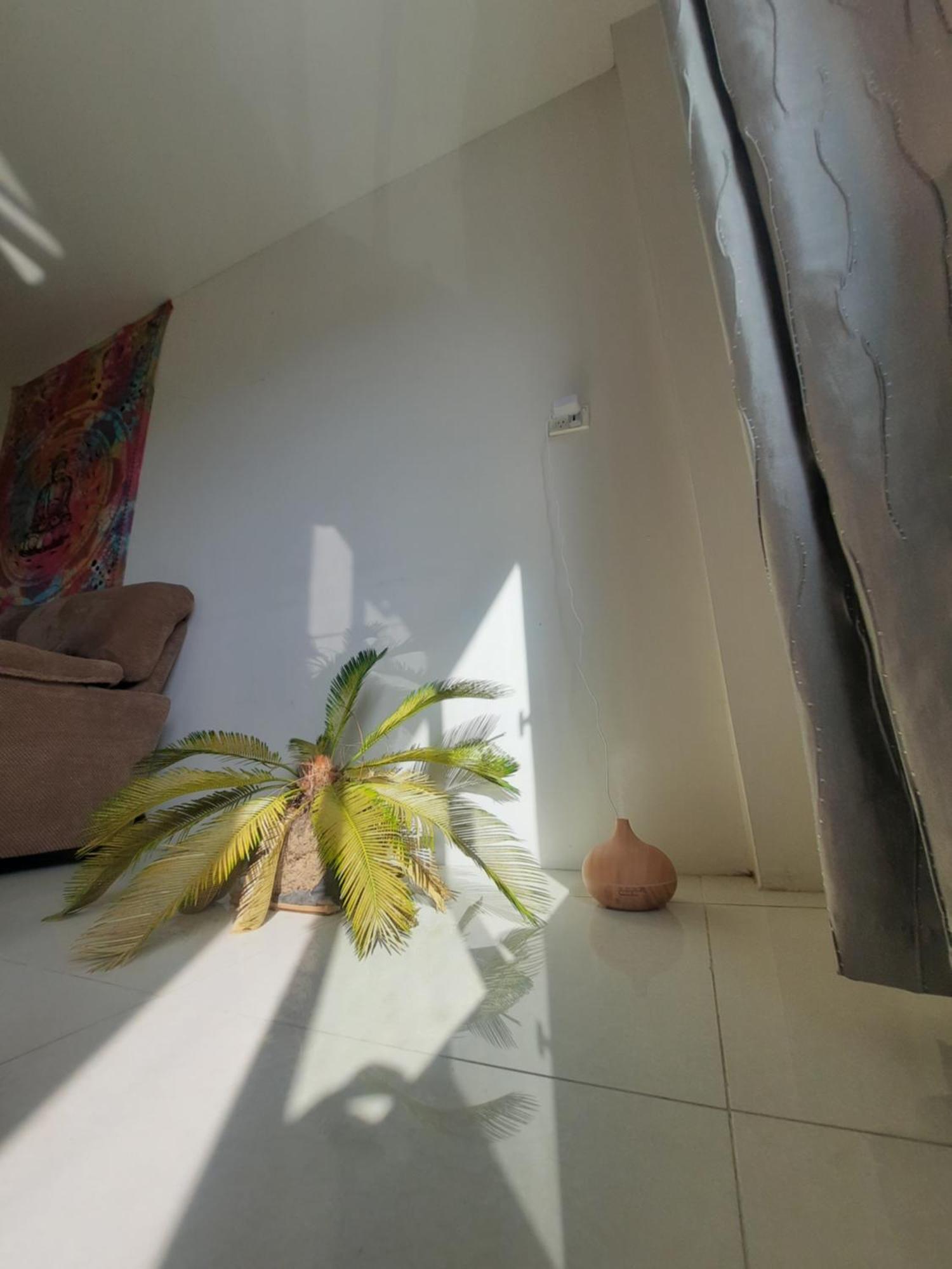 Bula Bliss With Sunset View Apartment Nadi Exterior photo
